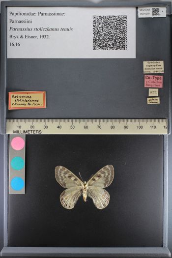 Media type: image;   Entomology 210251